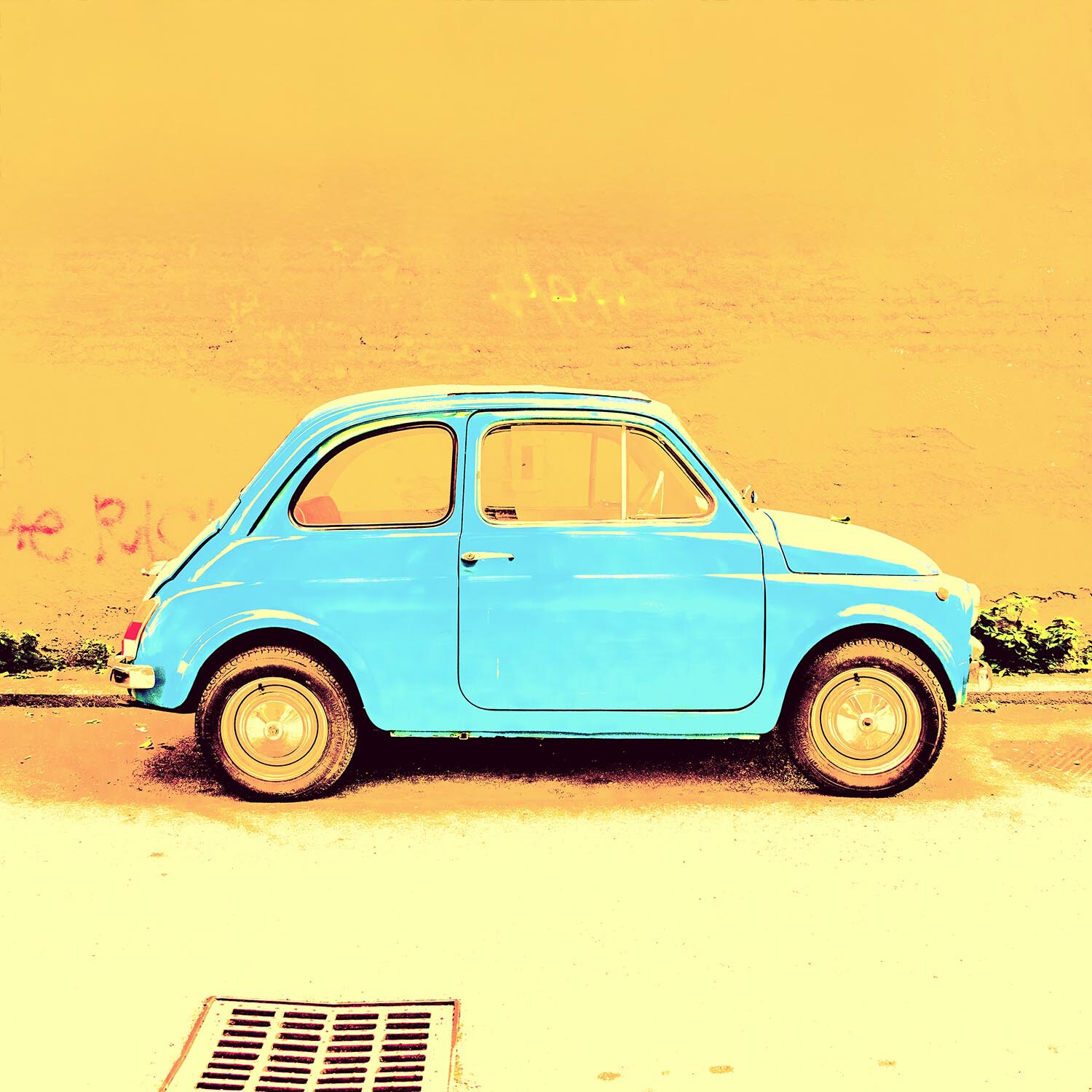 roma2025-9869 Kopie 2