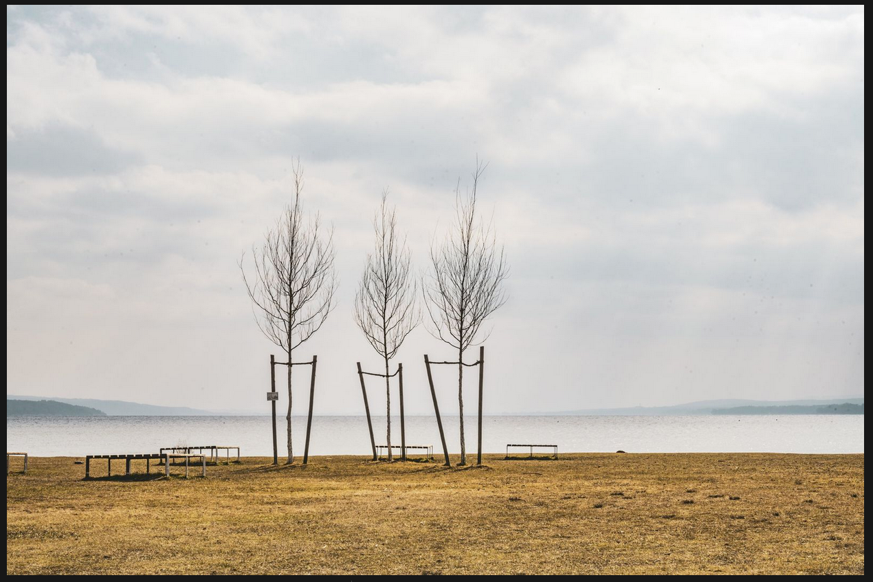 Bildschirmfoto 2025-04-14 um 21.20.09