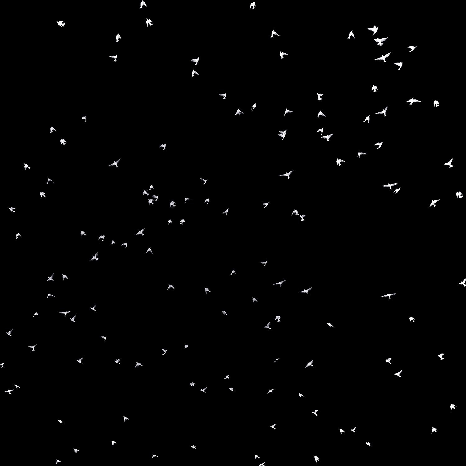 monopoli-1050 Kopie 2