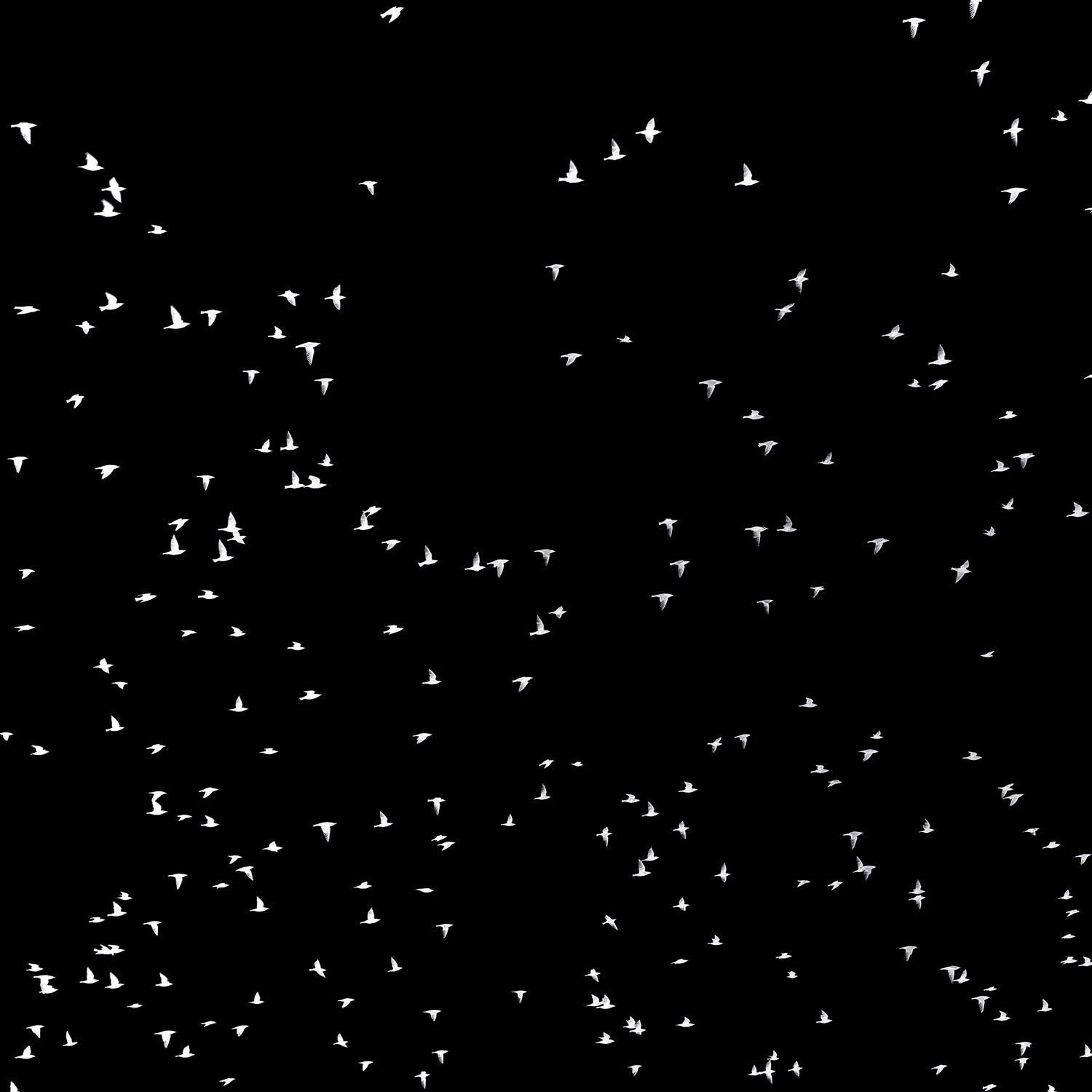 monopoli-1056-2 Kopie 2