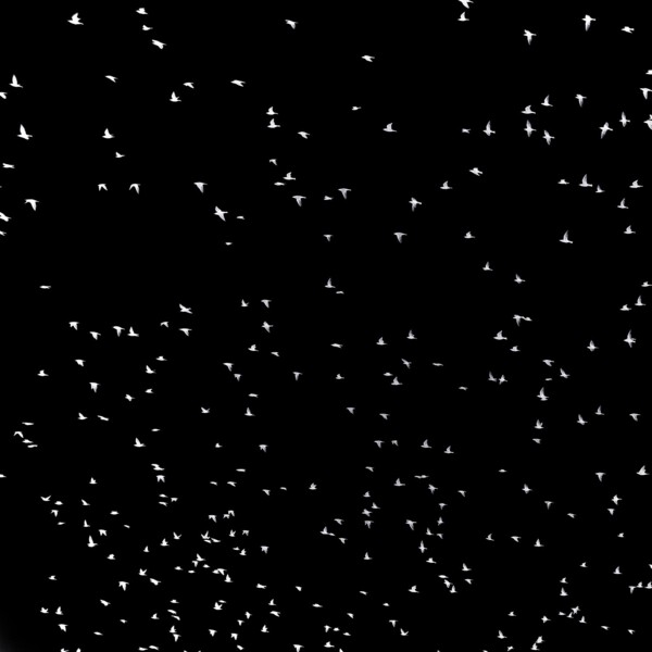 Alfred Hitchcock live